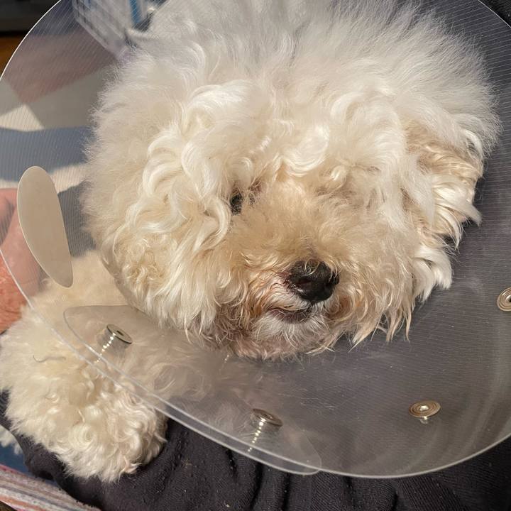 Bb44d6e3 575f 451b 8f71 daf3f5fae67e 1760542200032