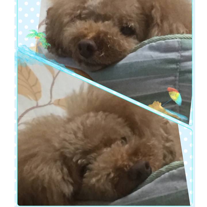 Bb44eeca 7db6 496d b267 e1ebab0f53e5 1531739693029