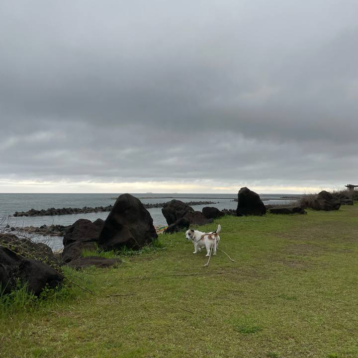 Bb44f703 2445 46f0 a390 bb8f911b9e3b 1651017033426