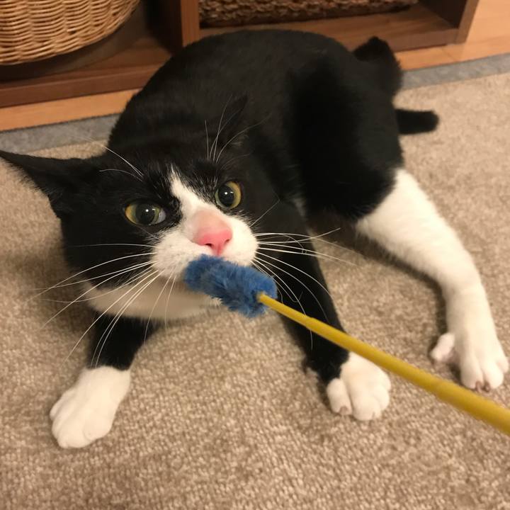 Bb44fce3 1143 40db a918 4eaa514a62da 1517656092816