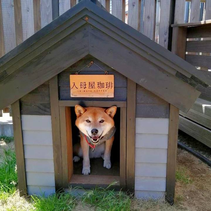 Bb455bd3 1199 4d7a a91d 61ac945f85b9 1649410837003