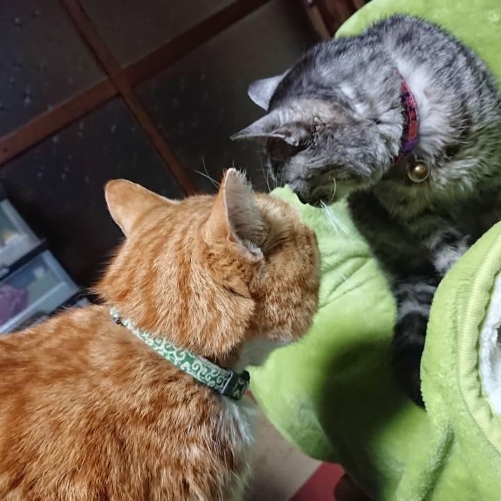 Bb4562a6 0ba0 43ff 9f1b d8e79fe95ad2 1583226359676