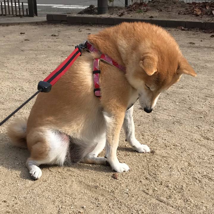 Bb45686f f769 4a51 a368 8209641717cb 1545036105883