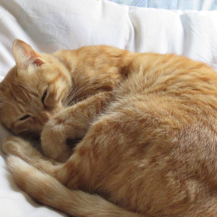 Bb458dd9 b54e 453d 8882 f7b413ff38f8 1539479499868