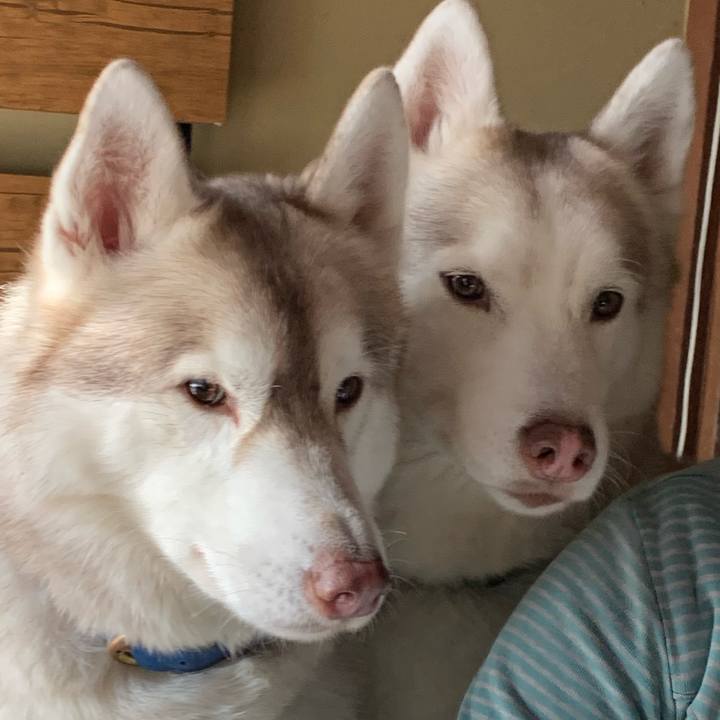 Bb45edc2 3529 4bd1 bee7 174d6e2a7bc8 1642237442808