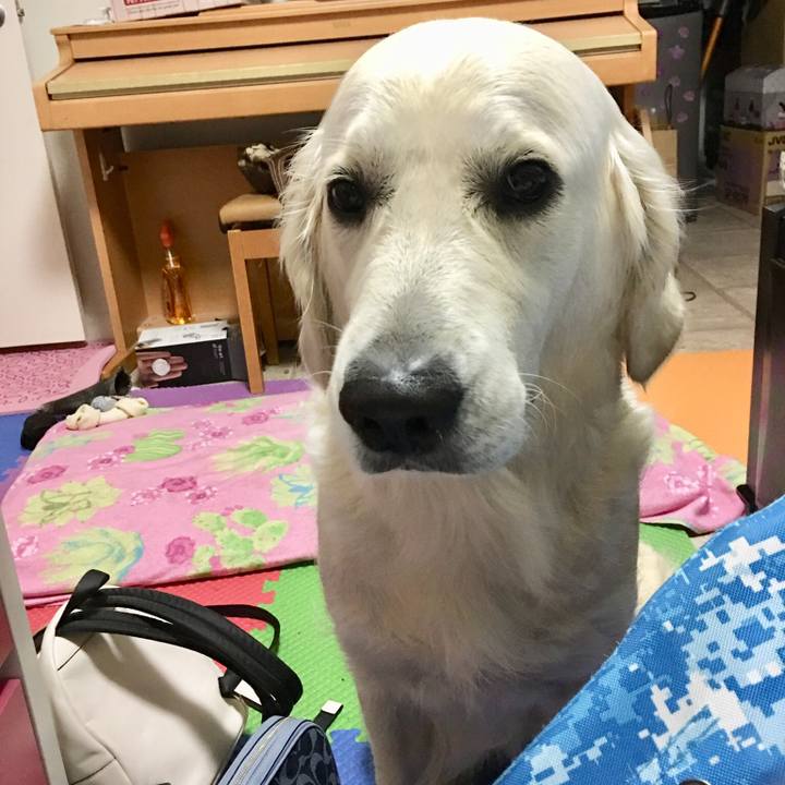 Bb45f845 ae96 4b0d 8e9f 695a78a7c436 1544688733960