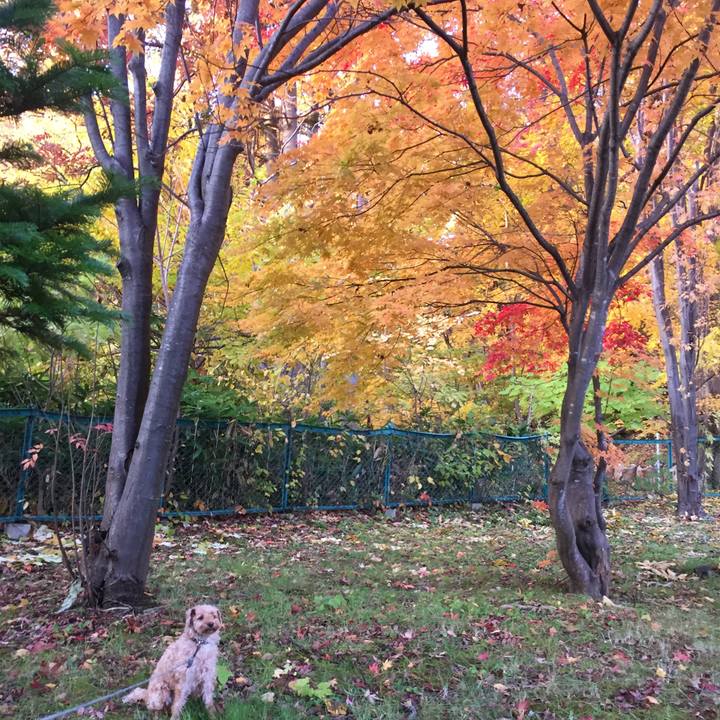 Bb45fa22 32d3 4323 9a4a 96dd1d175b66 1508994564376