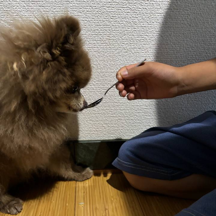 Bb460800 3887 4312 9baa 3f172d0e2c3d 1758418682976