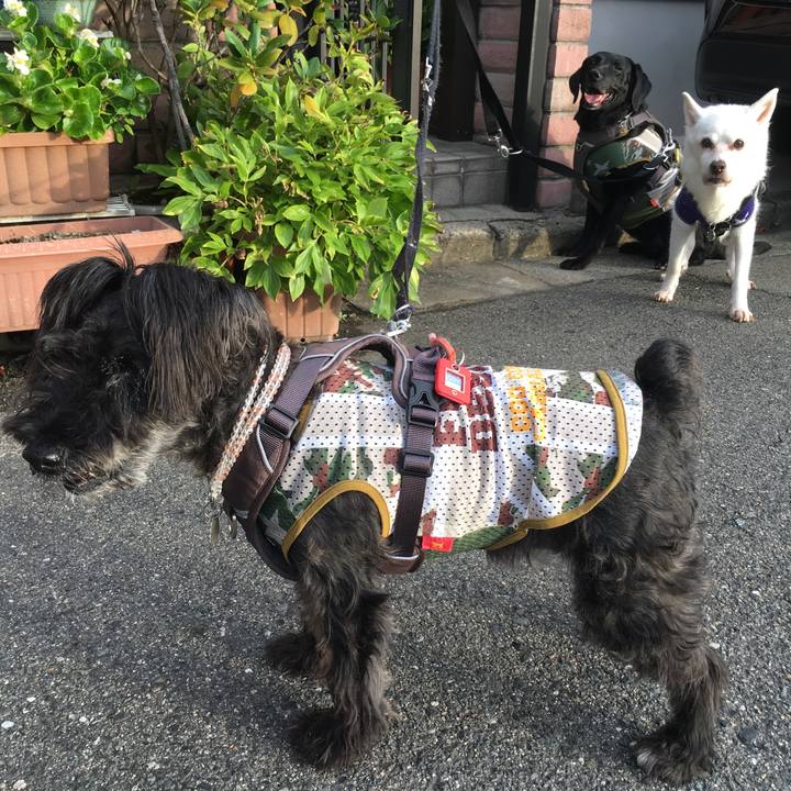 Bb461b0a 853c 43ca ac08 4fedfa6803b2 1536798028315