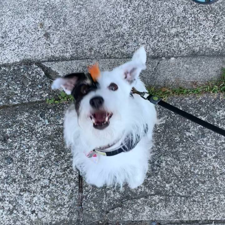 Bb463f1e 250c 4f3c bf0c e6b1ec6f33ab 1694731672738