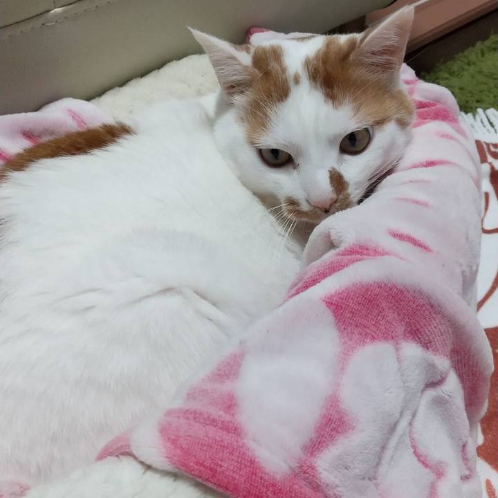 Bb465e41 766c 49c1 b6e7 fb2496433f9f 1669714135368