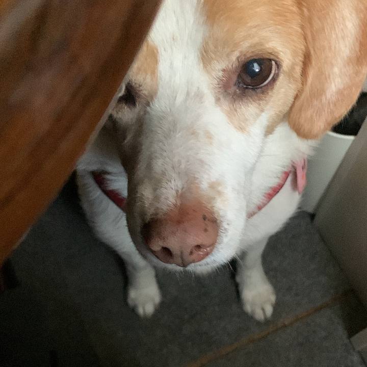 Bb4676bc 522b 49db b53a c7e470294272 1735617959162