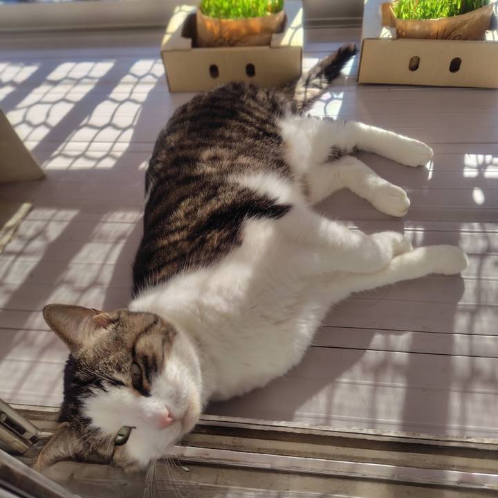 Bb4679a1 8da8 42a8 97e4 05491a183159 1765946051482