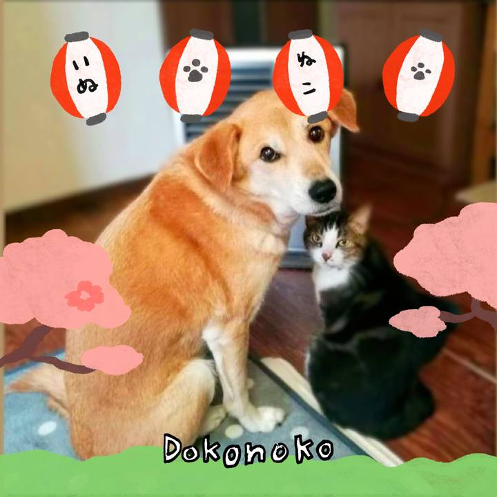 Bb468159 666b 4171 9f17 47e903f2d0d9 1712279111730