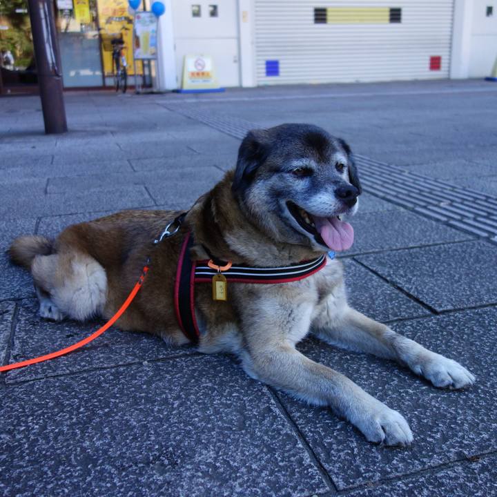 Bb4693a3 d7c9 46a5 a103 563b2ad108da 1530320726514