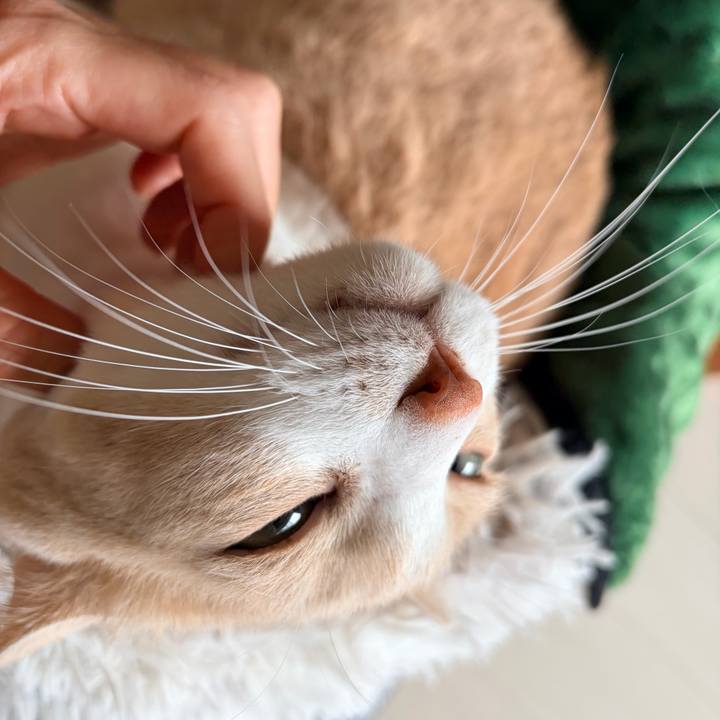 Bb473d67 af66 42f9 a160 ad423f4df770 1767396308933