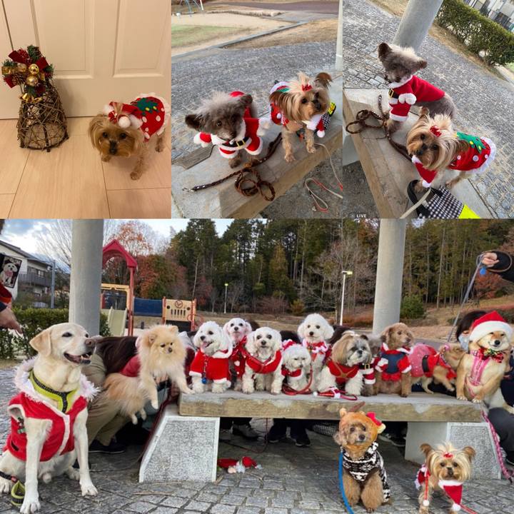 Bb4749f3 3fe0 4cf9 8e04 25f2793636c7 1608900688338