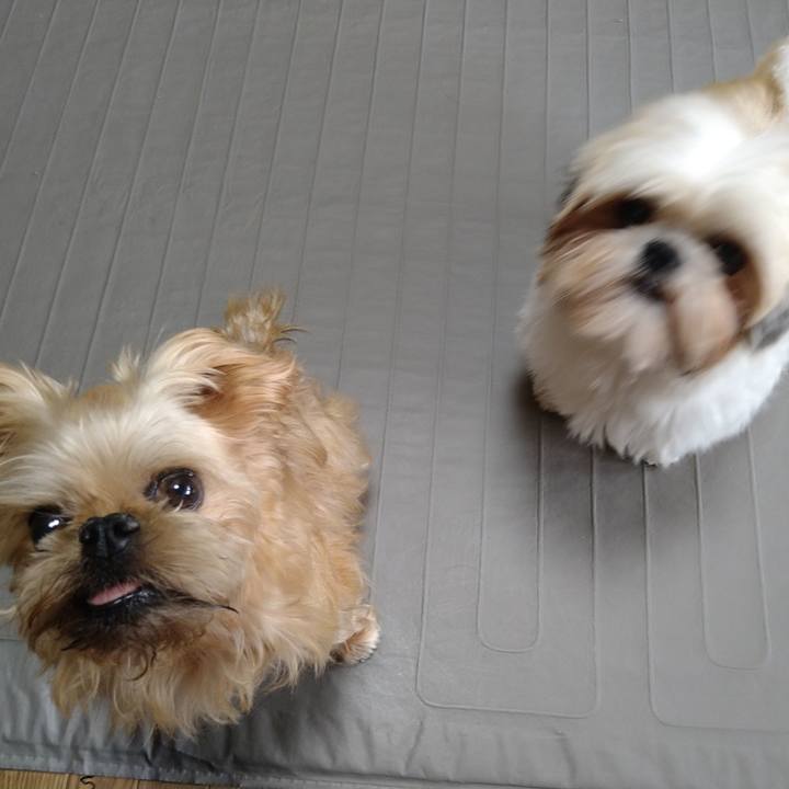 Bb4761a8 3370 49d9 acf7 7911e270049b 1606008793669