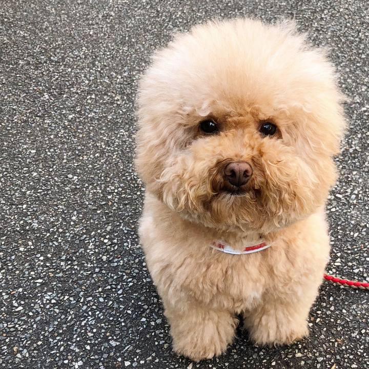 Bb476c7d 65b2 4f0e be2d 69b0f1365138 1518842365352