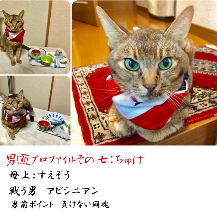 Bb47803e e23e 4115 8a65 8eee22044643 1566136217053