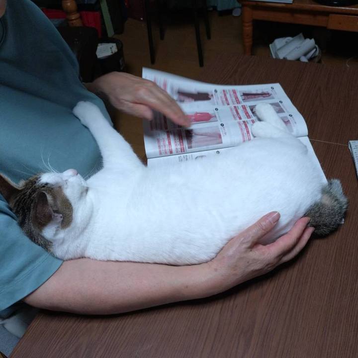 Bb479f53 bd5d 49b3 bca2 7aa75dde2d79 1757586755001