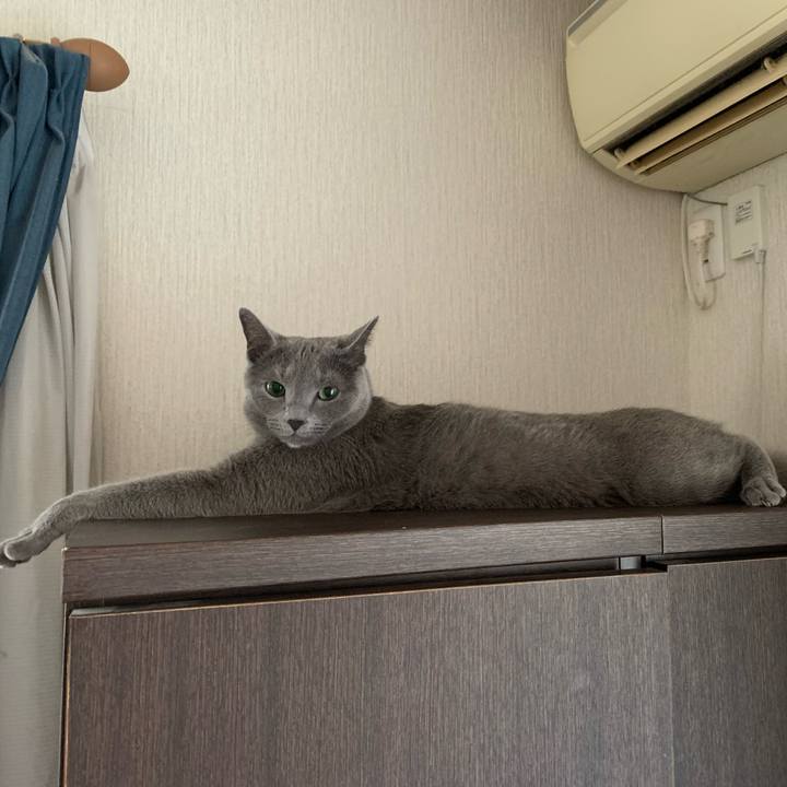 Bb47a151 3cef 4b09 9e15 53e01e739272 1646802006484