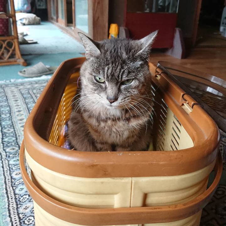 Bb47e9dd 2786 4318 9d22 ba565369e4d4 1584169057626