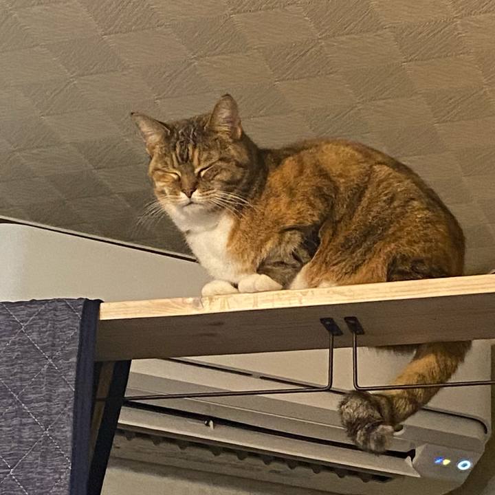 Bb47f54d ff07 44a9 b6ff daf43ec927f5 1644680585646