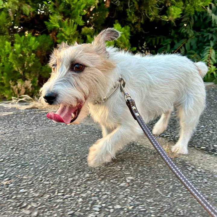 Bb480452 8a0d 4633 874c 369c3ecdabc9 1758979110260