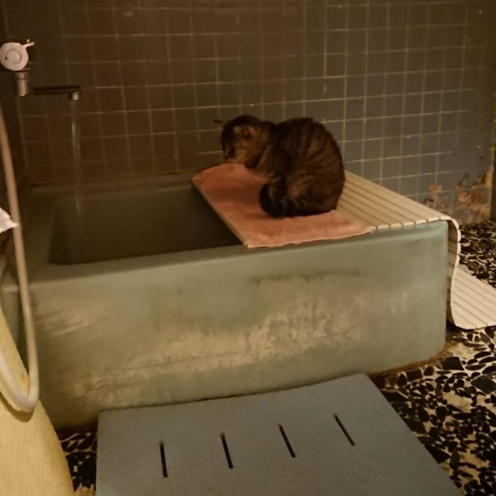 Bb48267d 0d7d 404b bba1 f040bd774bf8 1580980710115