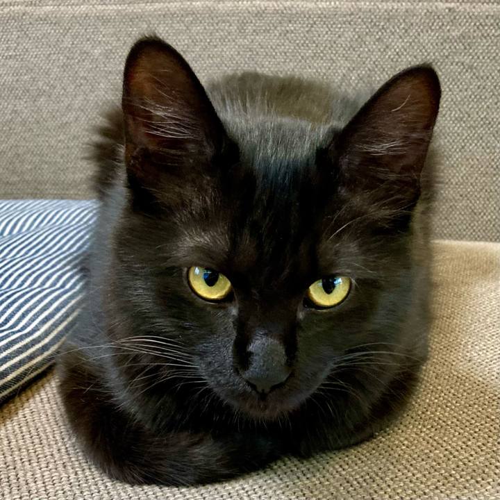 Bb4866e6 e910 424a 9f57 ff92d96f8920 1710213968616