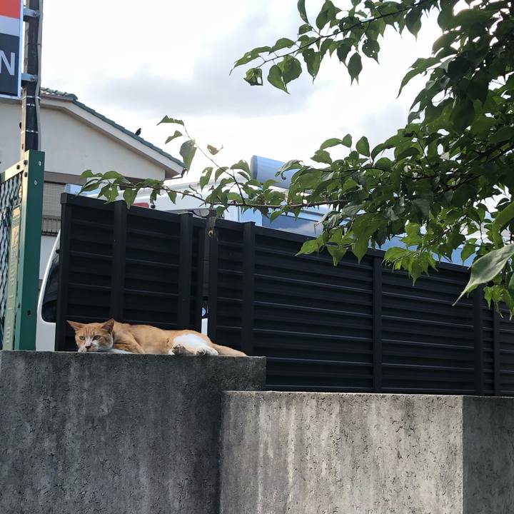 Bb486a48 261b 410b b762 f86b31d3d14d 1657348698414