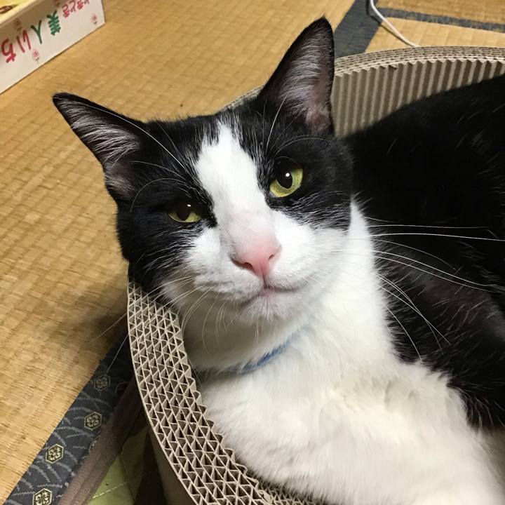 Bb487fe3 acd6 4379 97ec aad1ad3e0f1e 1697542034441