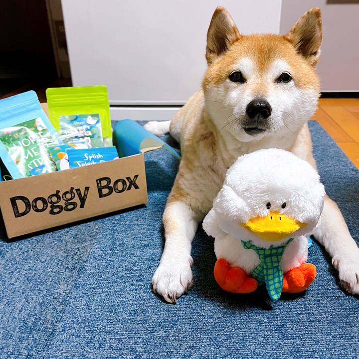 Bb489d2a 08a2 43be 8d30 e7b45ff58d28 1715687388428