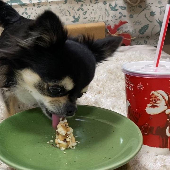 Bb48b7b6 e90e 4990 a133 92bede36160d 1640328852018