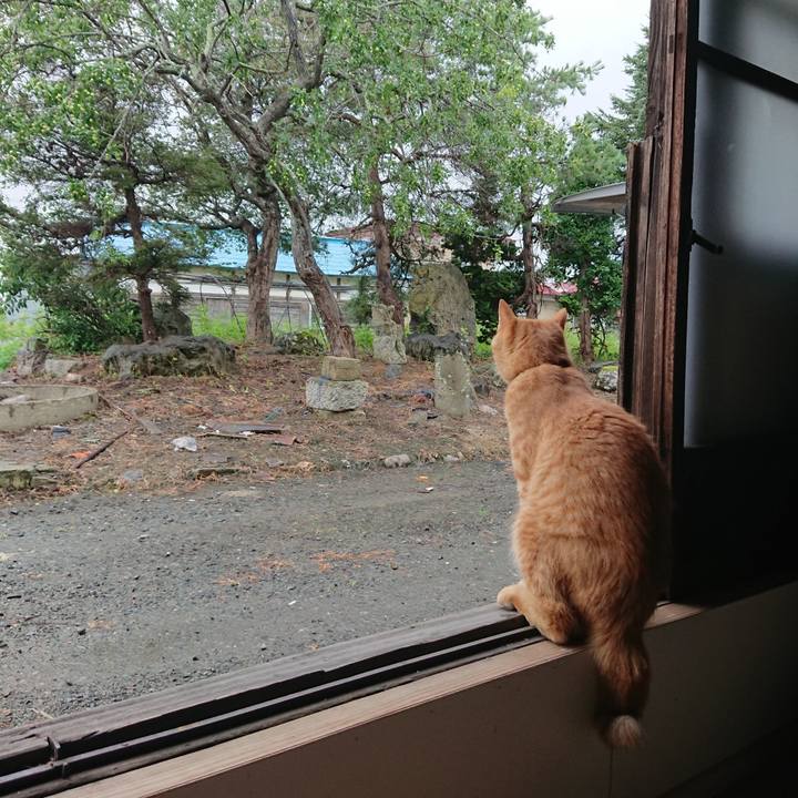 Bb48c86e a0f5 46ee 9e42 a673a6d61d6e 1662534286155