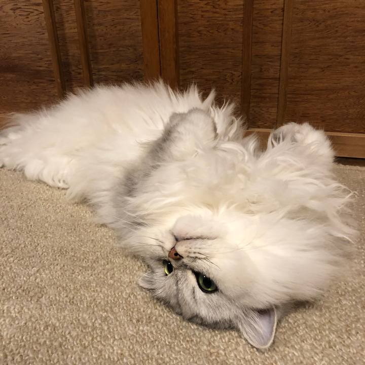 Bb48ccb2 0721 4aaa 8d16 42ae87273451 1573118899665