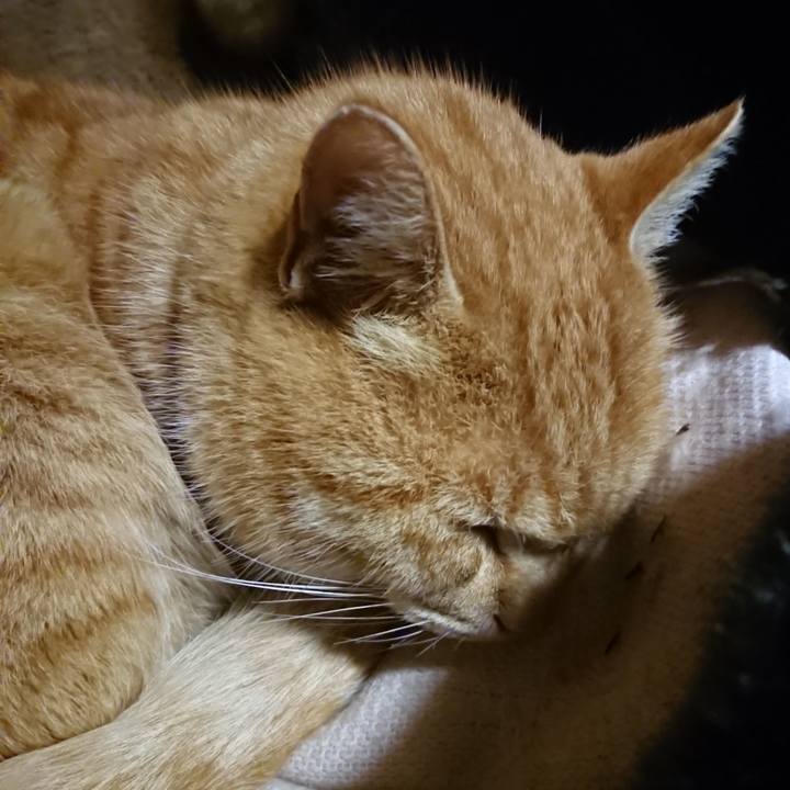 Bb48e8d5 6f76 474d 8891 8b33bb5e8ba9 1607940957493