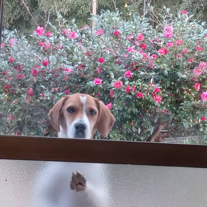 Bb48f66d 9c8d 4edf 870c 8e892cc0b668 1578639797352