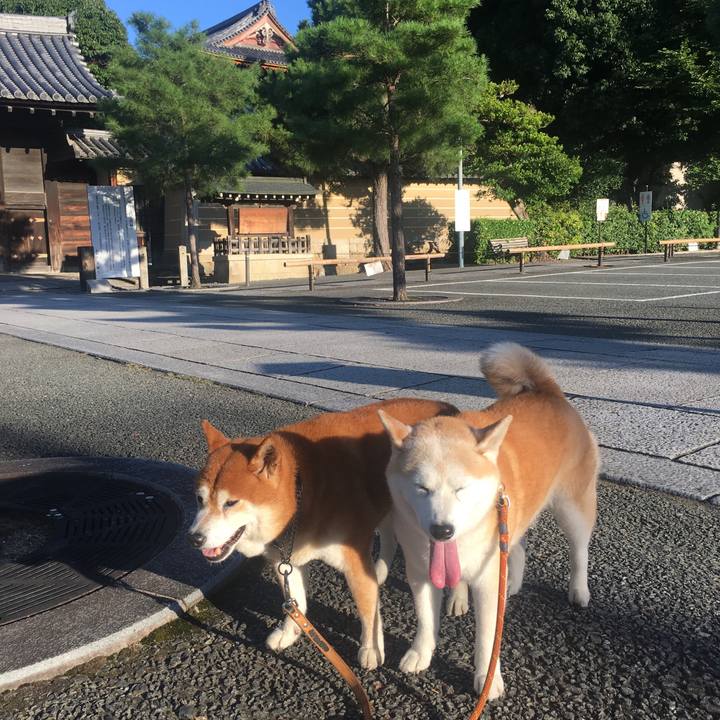 Bb48faf0 0949 4b48 84d0 1f89c22627c1 1532211234216