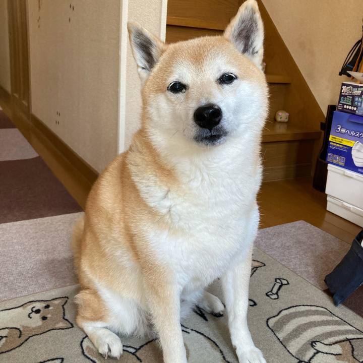 Bb490fd1 4f5c 41cb a239 c10cc70613ba 1627722613082