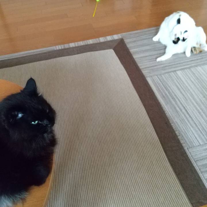 Bb491f05 0001 43ca 9c2a 078553e414e7 1655542737999