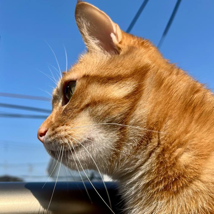 Bb492579 82b9 45da a18b e686d4fc4750 1684709220580