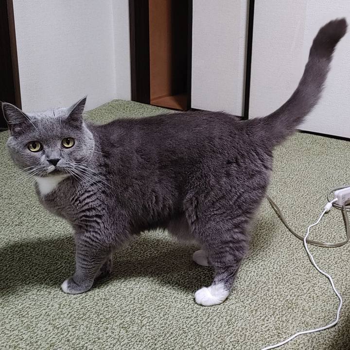 Bb496a65 7e49 4df8 9ac7 0fe4910f344c 1662035599422