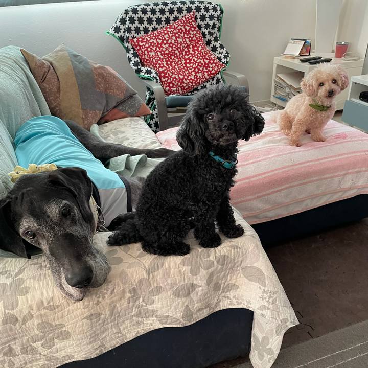 Bb49fd21 6b86 4d6c a23e c8d3e00bedcb 1630277098310