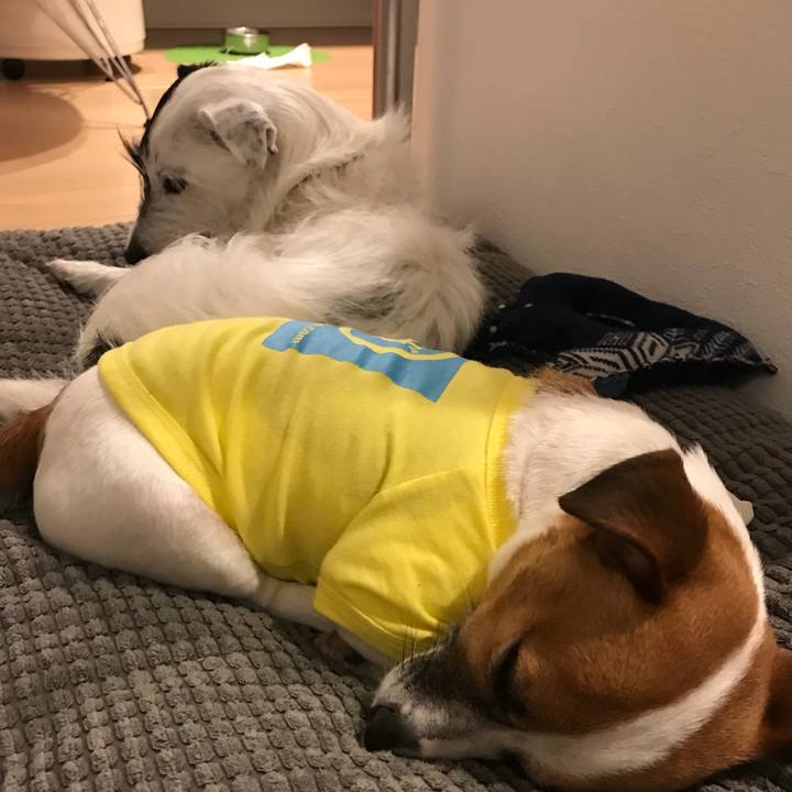 Bb4a08c0 9543 478a b9e9 bf27b8fff87f 1523367957343