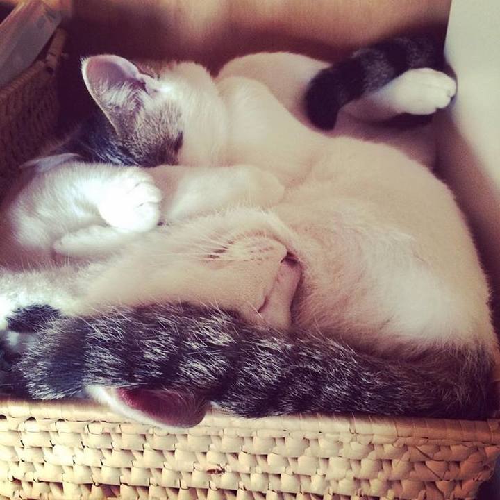 Bb4a540c 1a4f 47f4 a71b d399dc81eccf 1514252562062