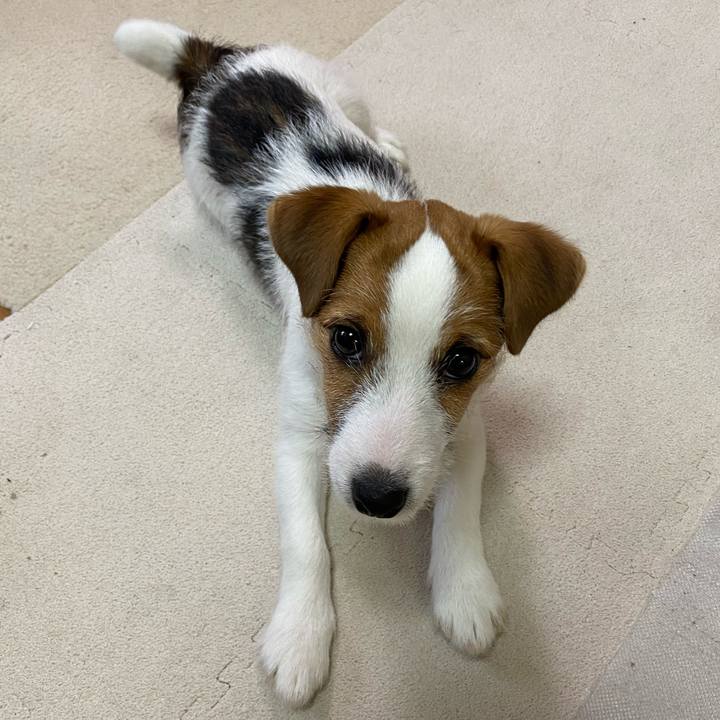 Bb4aad44 ec5f 46e6 8483 8de1abf4700d 1615159315054