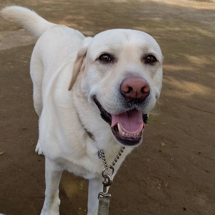 Bb4abbdc fb13 4164 a29f 9336205360a2 1591405918020