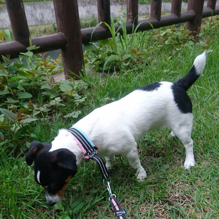 Bb4b1c96 2597 4739 a265 cedef8939b2e 1529191580408